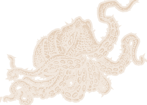 Uchi Octopus